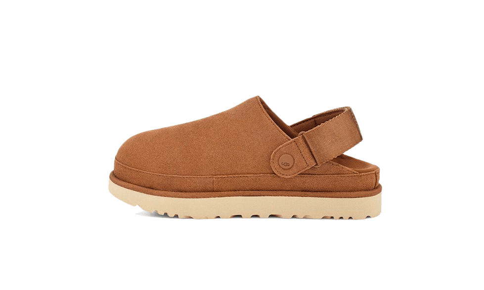 Goldenstar Clog Chestnut - Marron