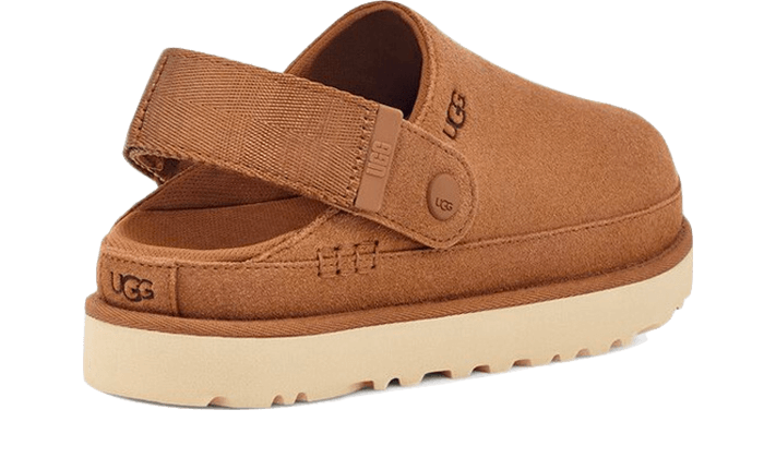Goldenstar Clog Chestnut - Marron
