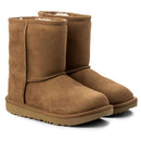 Bottes Classic Ii - Marron