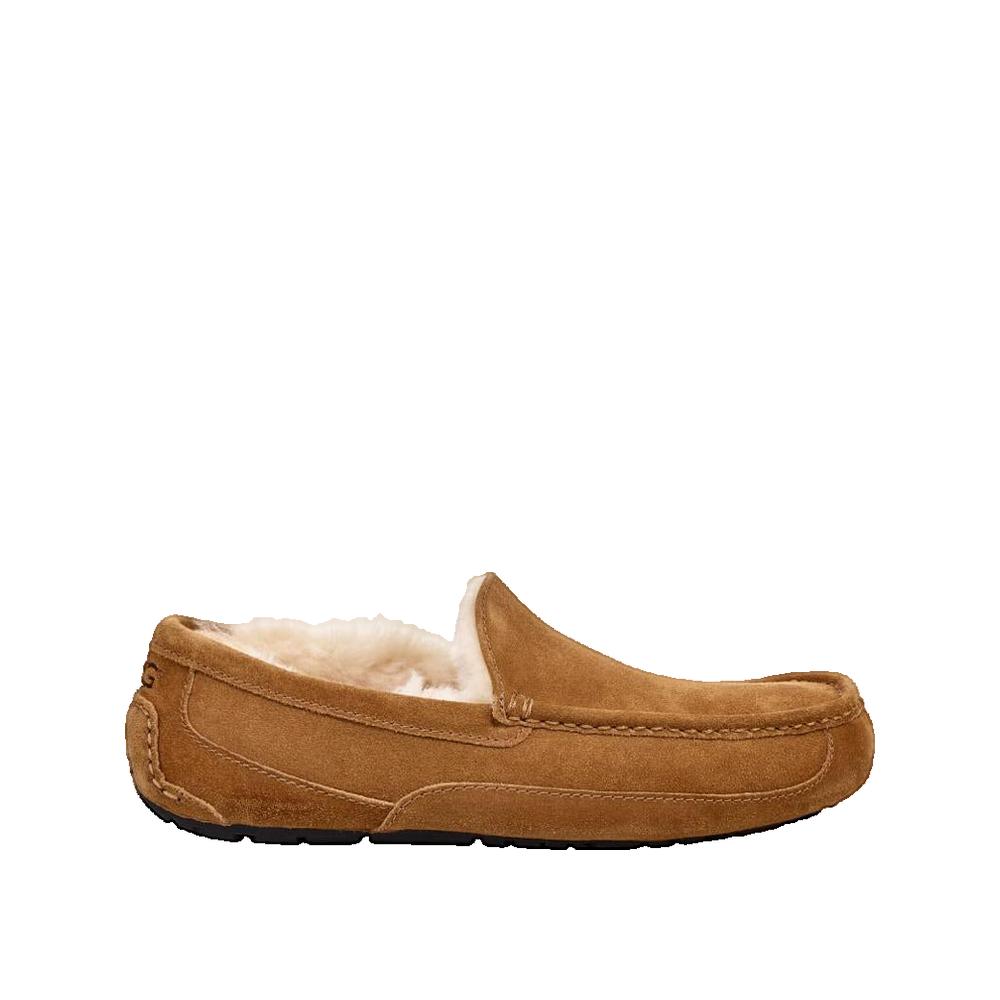 Ascot Slippers - Brown