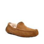 Ascot Slippers - Brown