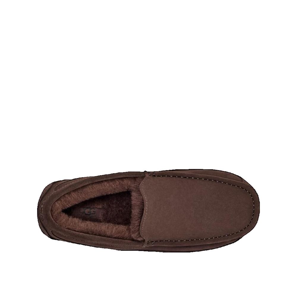 Pantuflas Ascot - Cacao
