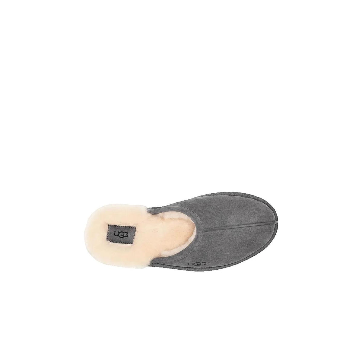 Baskets Scuff - Gris foncé