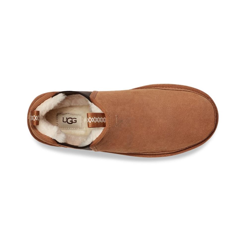 Neumel Chelsea Boots - Brown
