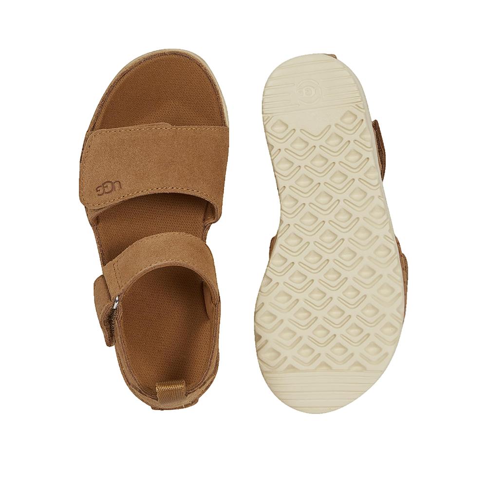 Zapatillas Goldenstar - Castaño
