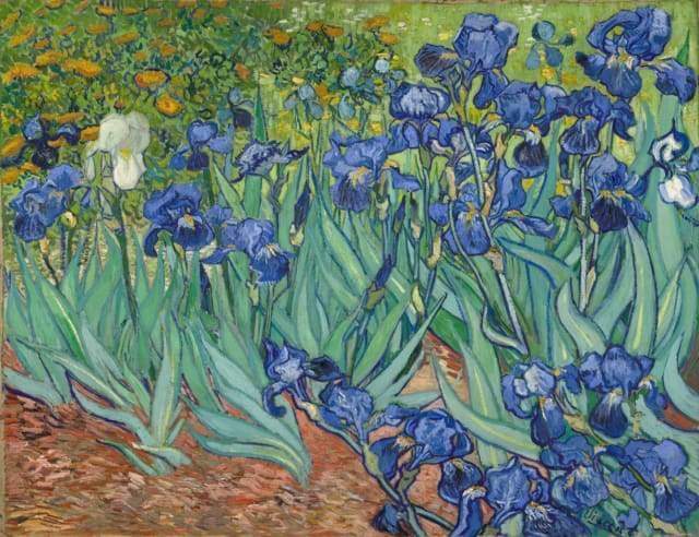 Paint By Numbers - Van Gogh Irises