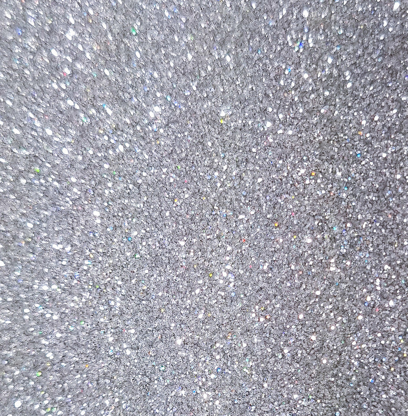 Paillettes Holo Argenté Fines