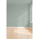 Visualisation 3D de la peinture Green clay avec ombres - teinte vert de gris clair