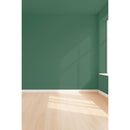 Visualisation 3D de la peinture Jungle elixir avec ombres - teinte vert jungle