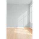 Visualisation 3D de la peinture Moon wolf avec ombres - teinte gris clair