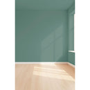 Visualisation 3D de la peinture Salvia calma avec ombres - teinte vert de gris