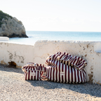 Striped Burgundy Mini Ruffle Bag