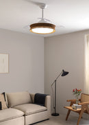 Wind Clear Rattan M - Ventilador de techo silencioso con aspas retráctiles e iluminación LED - Trenzado