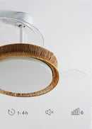 Wind Clear Rattan M - Ventilador de techo silencioso con aspas retráctiles e iluminación LED - Trenzado
