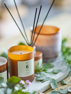 No. 6 - Sequoia - Set of 6 Scented Candles - Brown - Natural Wax