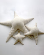 The Starfish