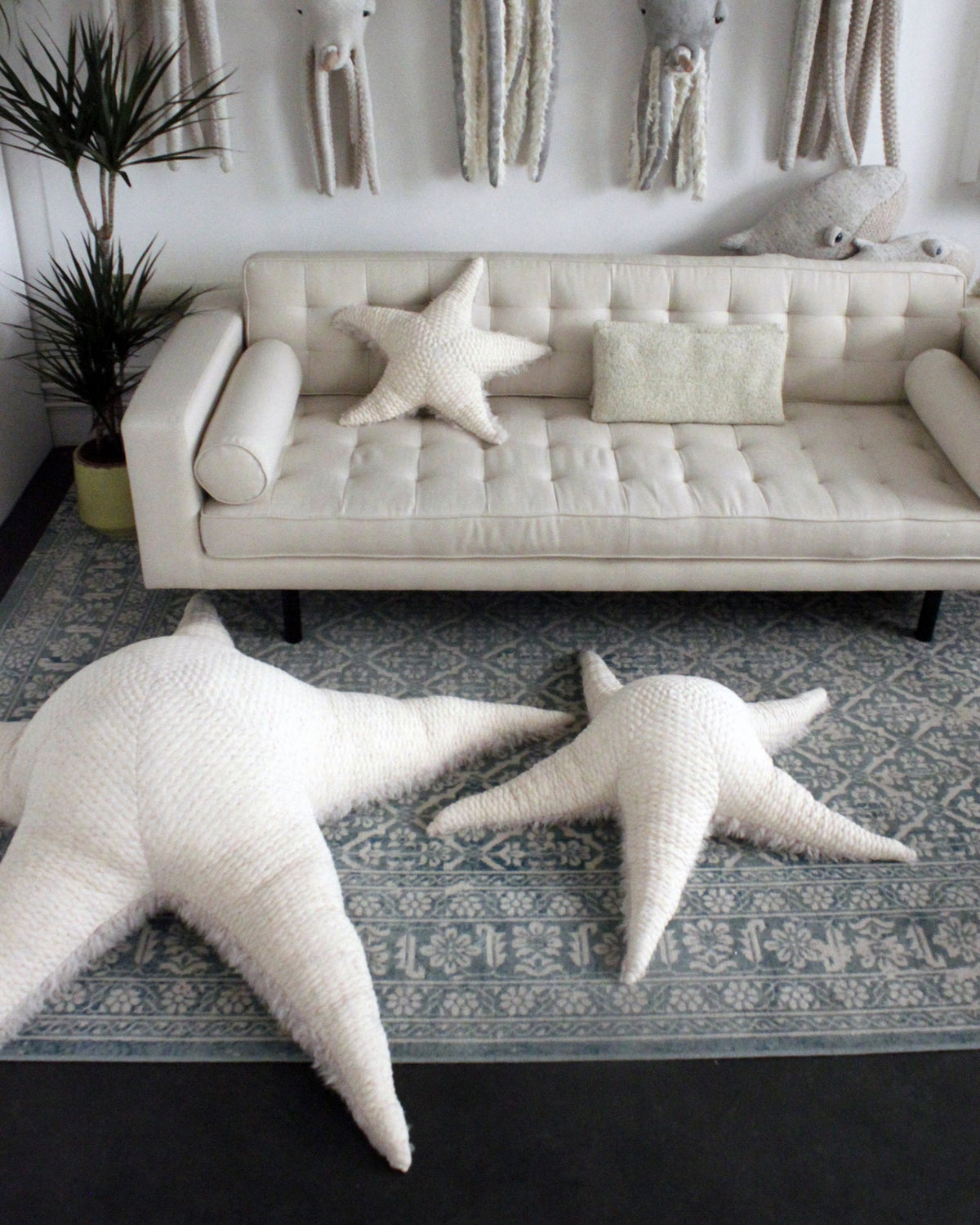 The Starfish