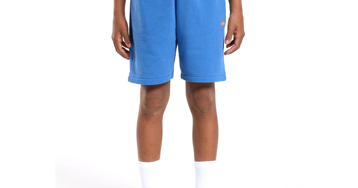 Dickies Youth Mapleton Sweatshorts - Blue Shorts S - Delft