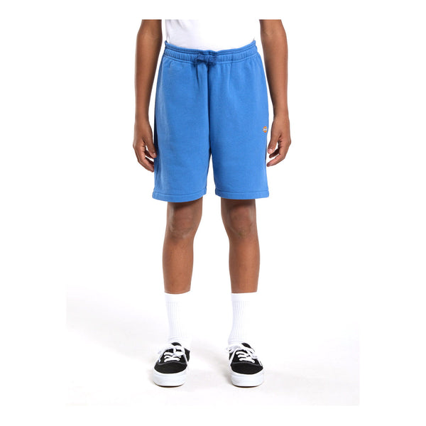 Dickies Youth Mapleton Sweatshorts - Blue Shorts S - Delft