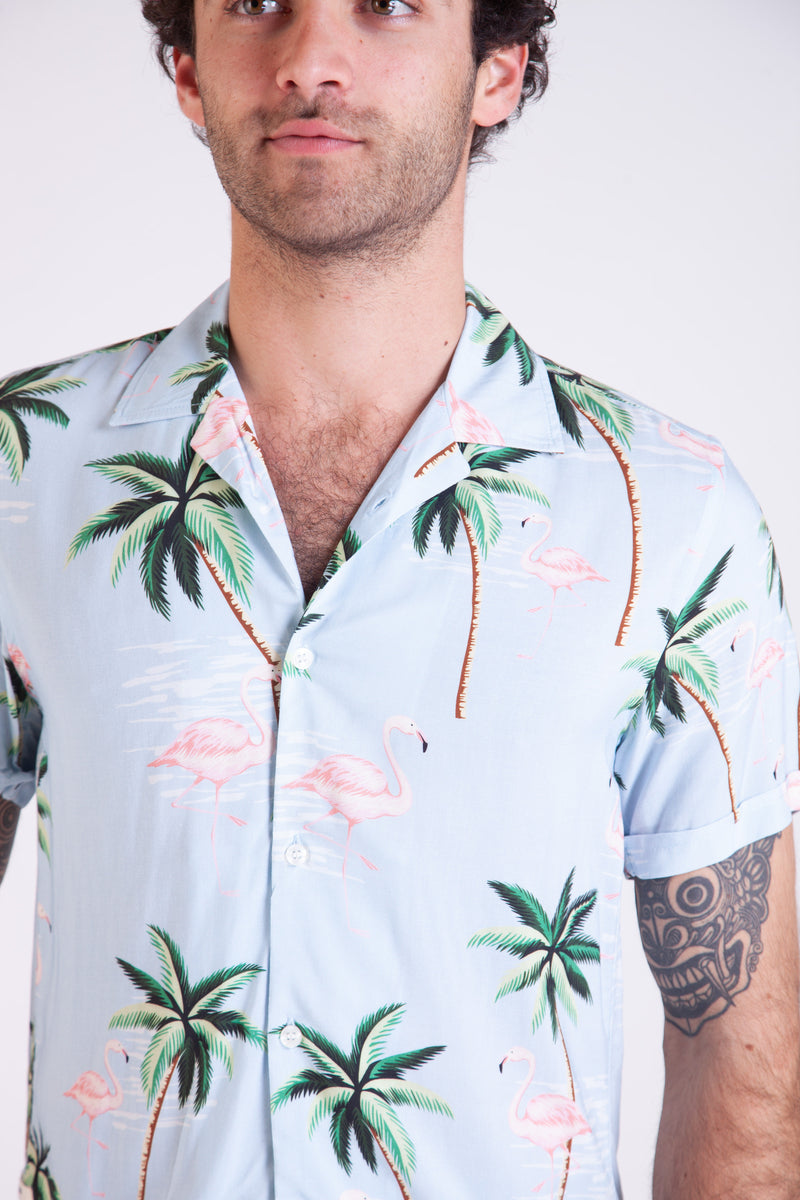 Camisa de coco
