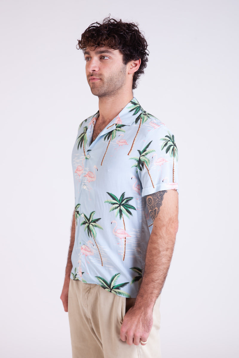 Camisa de coco