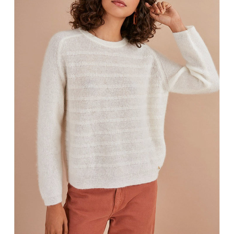 Jersey Carlito - Crudo