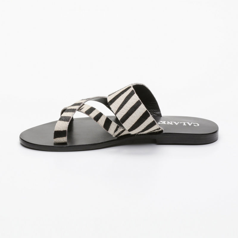 Calank - Mules Esila - Zebra