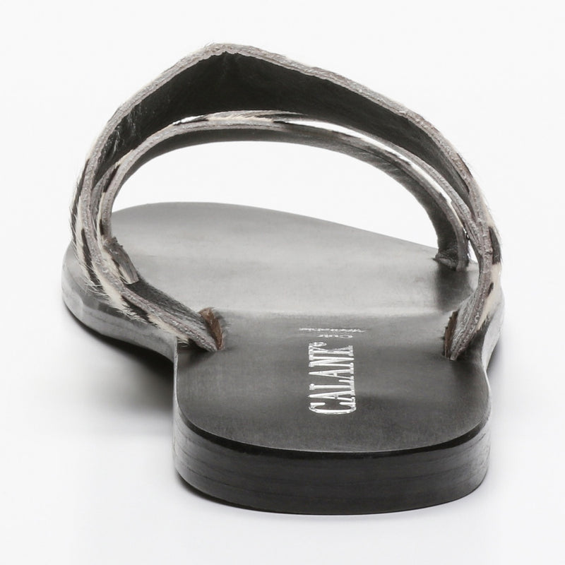 Calank - Mules Esila - Zebra