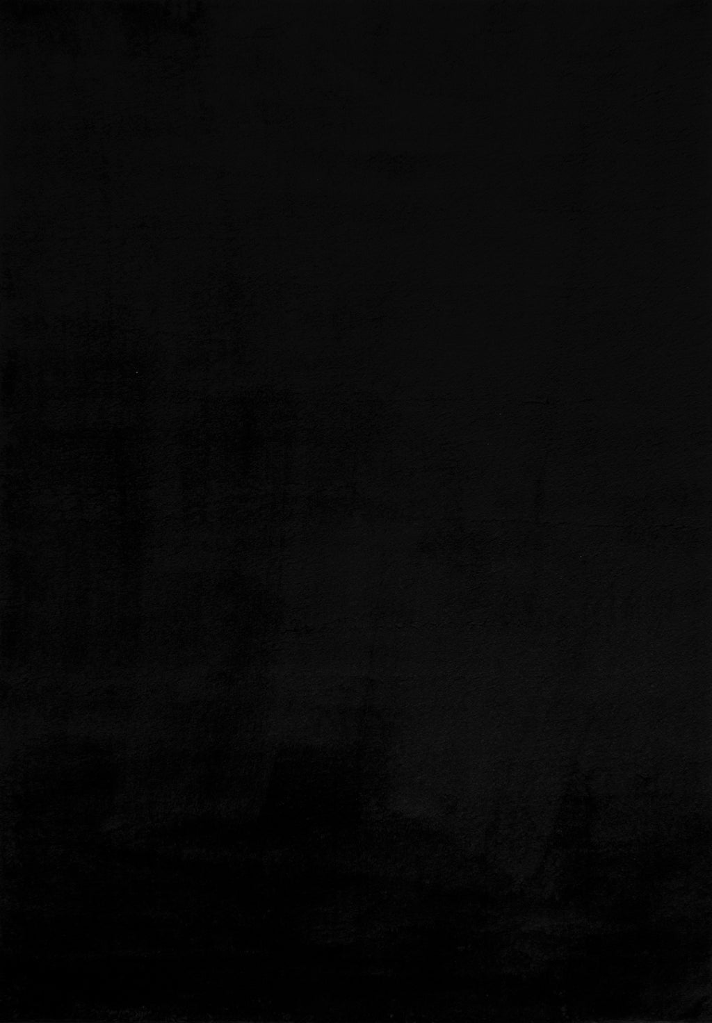 Cosy - Tapis D'Intérieur - Polyester - Noir
