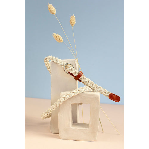 Cinturón Marzio - Crudo