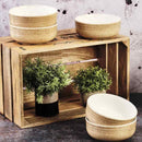 Bol Cosmos - 6 Pièces - Crème - Björn - The Bradery