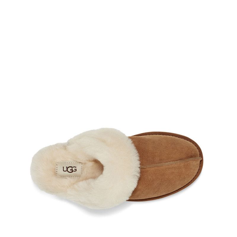 Chaussons Scuffette II - Châtaigne - Femme - UGG - The Bradery