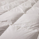 Comforter - 100% Natural - Feather/Down