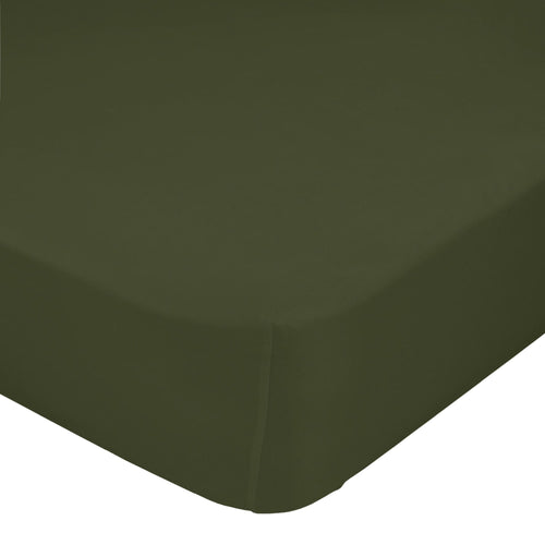 Basic Fitted Sheet - Olive Green WHITE FITTED SHEETS