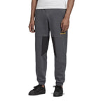 Pantalon De Survãªtement Adidas Originals Adventure Field - Gris - Adidas2 - The Bradery