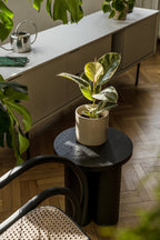 Tabouret Oly - Noir Vulcano - Noo.ma Design - The Bradery